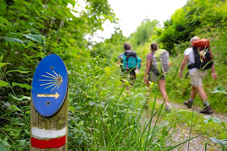 PAU-JACA - Le projet transfrontalier VolverAlCamino redynamise la Voie d'Arles